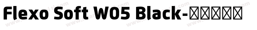 Flexo Soft W05 Black字体转换
